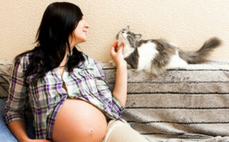 Беременность и кошка